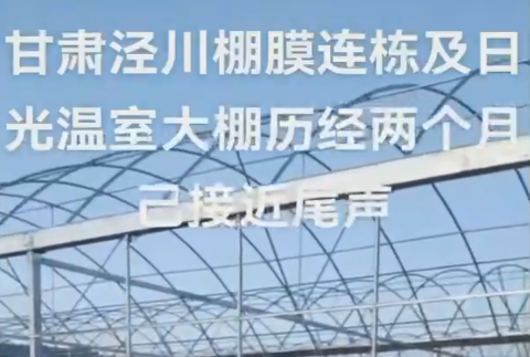 甘肃泾川棚膜连栋大棚及日光温室大棚历经两个月已接近尾声